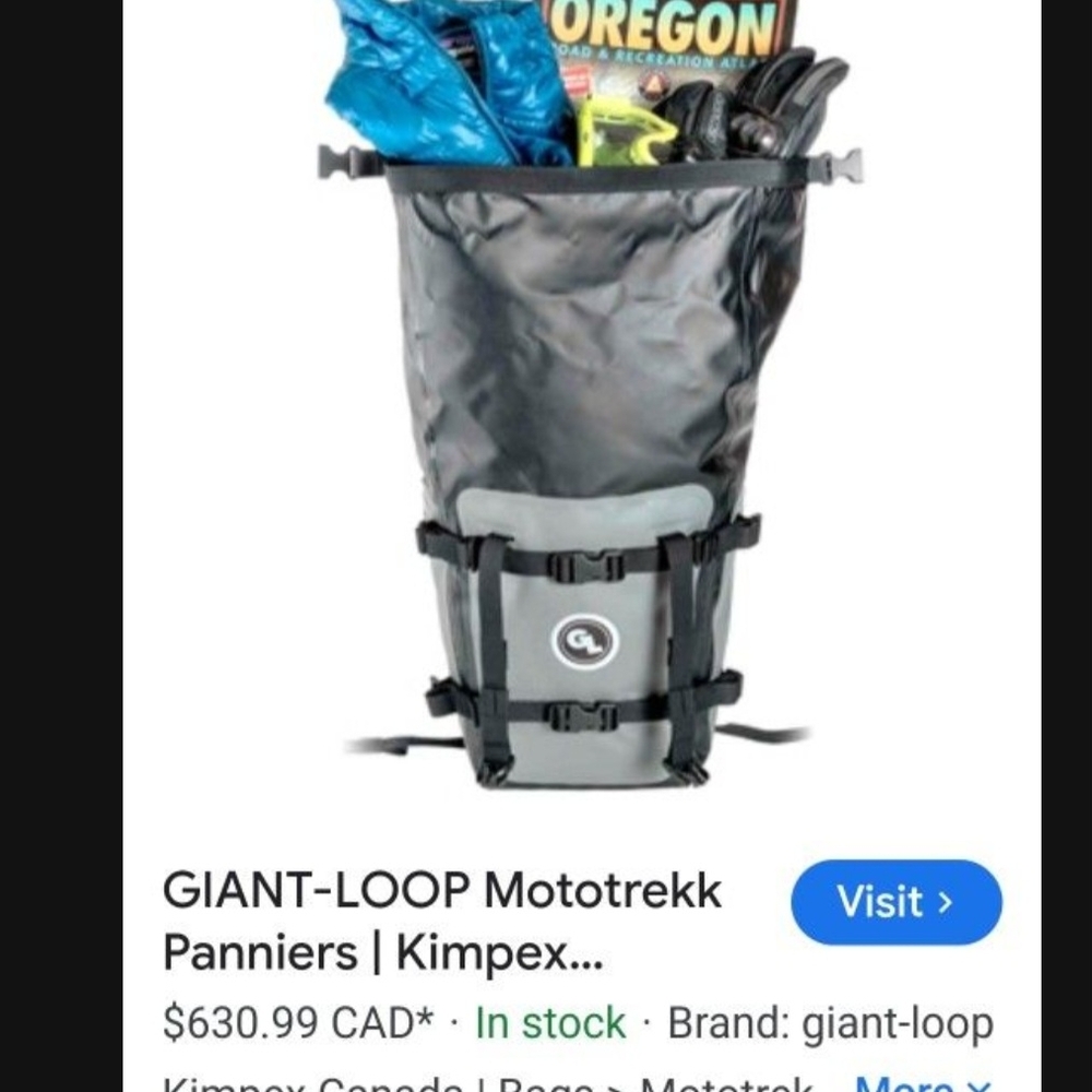 Gray Men's Backpack - image 4